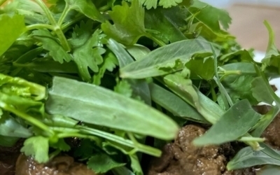 Теплый салат с куриной печенью